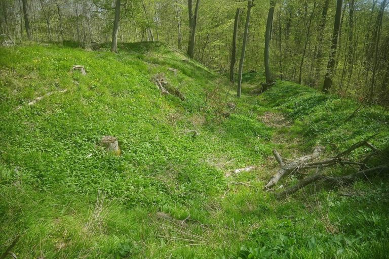Burg Schildberg: A High Medieval Spur Castle in Germany