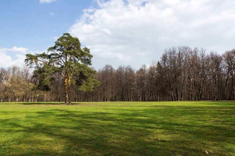 Tsaritsyno: Palace and Park Ensemble in Moscow