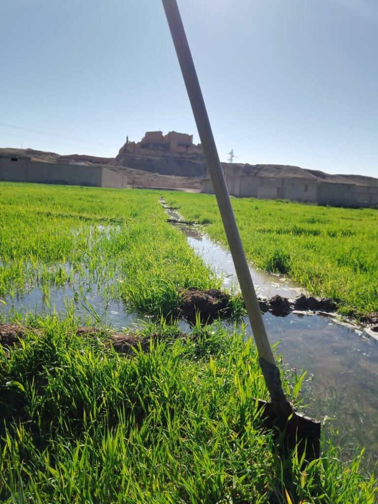 Qalʿat ar-Rahba: A Medieval Fortress on the Euphrates in Syria 2 Qalʿat ar-Rahba