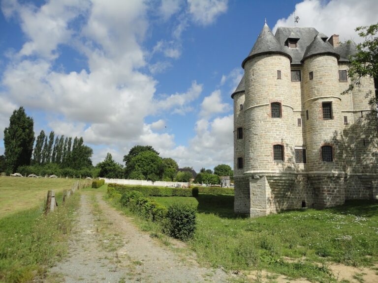Donjon de Bours: Medieval Seigneurial Tower in France