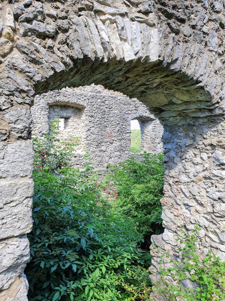 Wildenfels Castle: A Late Medieval Noble Castle in Germany 1 Wildenfels Castle