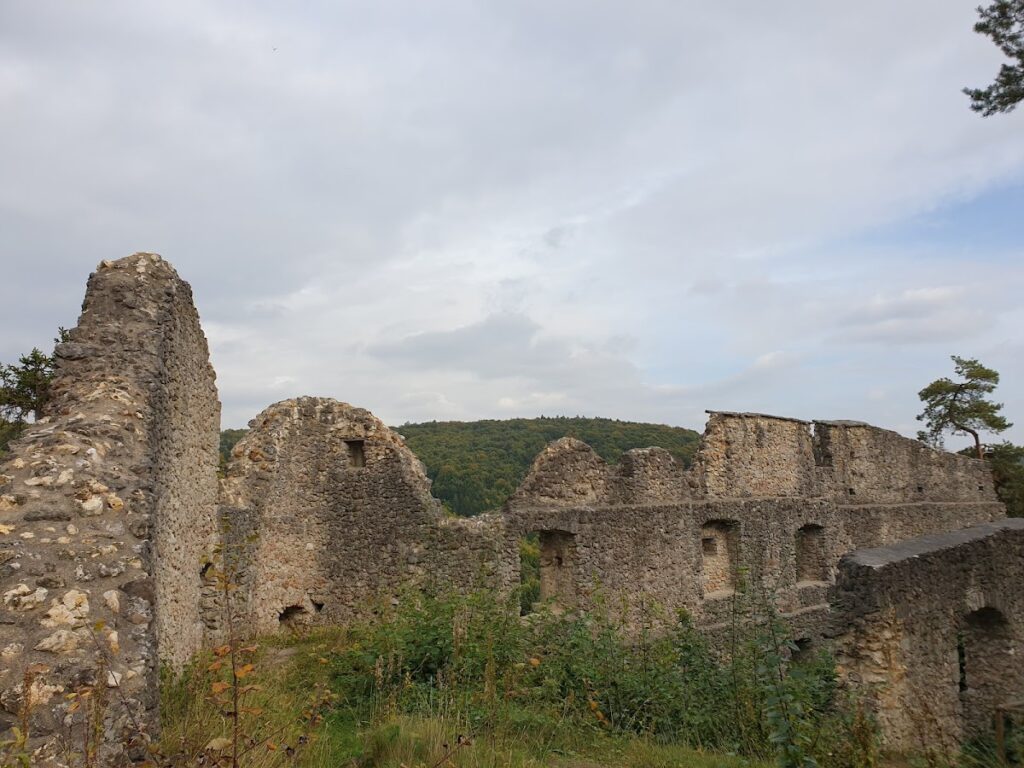 Wildenfels Castle: A Late Medieval Noble Castle in Germany 2 Wildenfels Castle