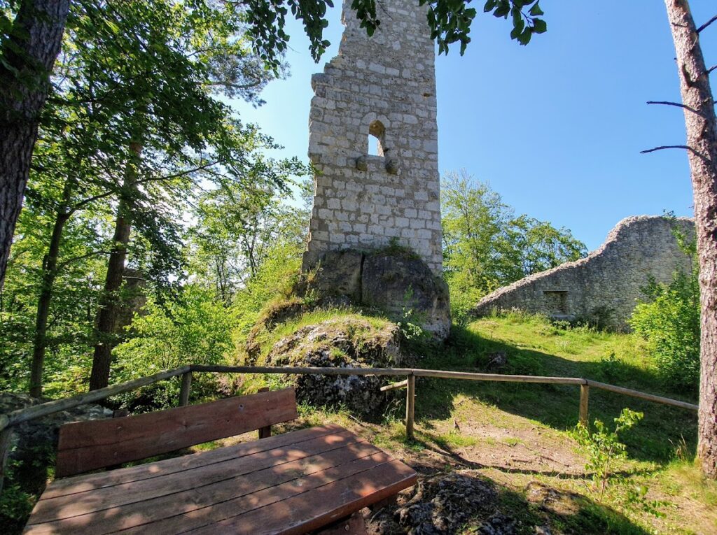 Wildenfels Castle: A Late Medieval Noble Castle in Germany 3 Wildenfels Castle