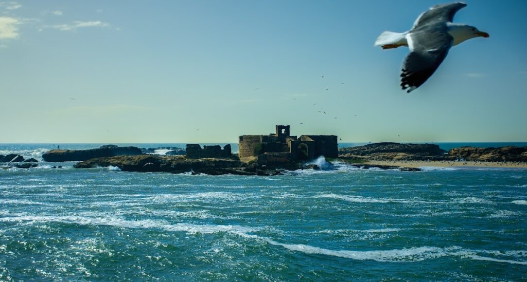 Castelo Real: A Portuguese Maritime Relay Castle in Morocco 2 Castelo Real