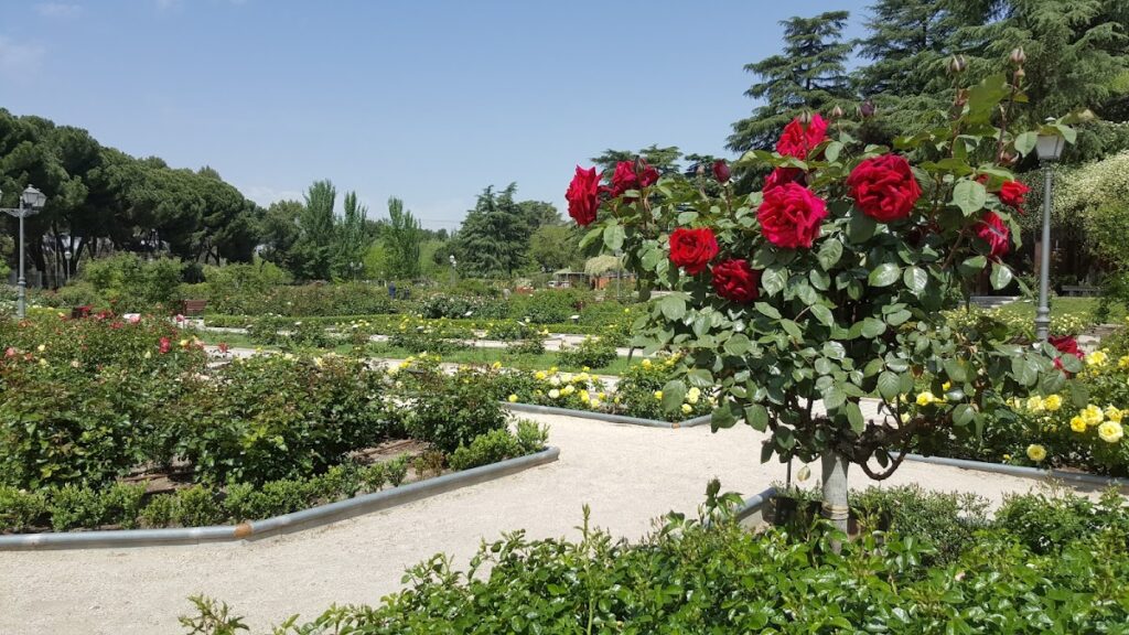 Real Sitio de la Florida: A Former Royal Estate in Madrid 3 Real Sitio de la Florida