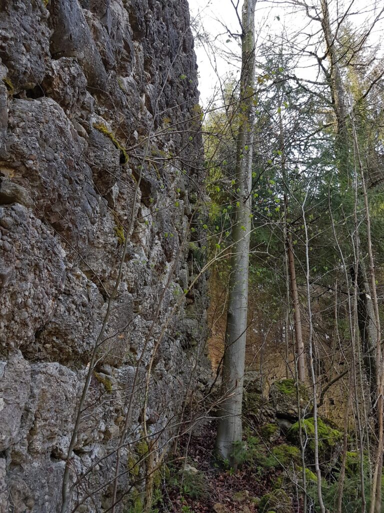 Burg Rauhlaubenberg: A Medieval Hilltop Castle in Germany