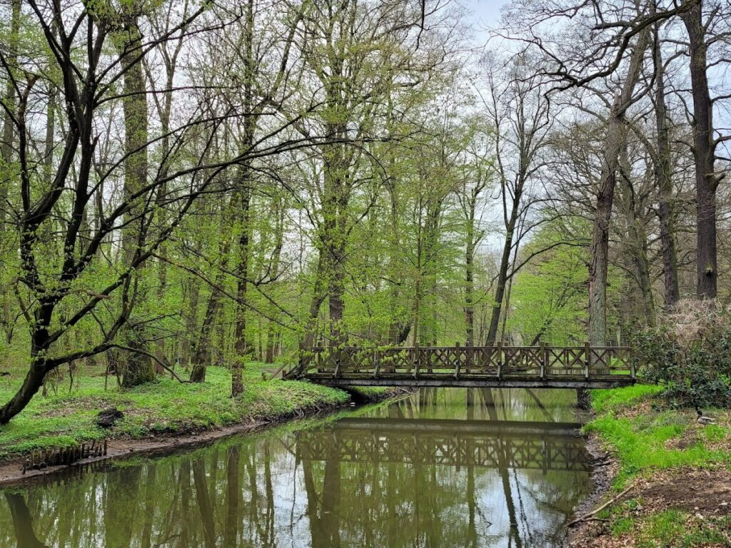 Milicz Castle: A Historic Episcopal Residence in Poland 3 Milicz Castle