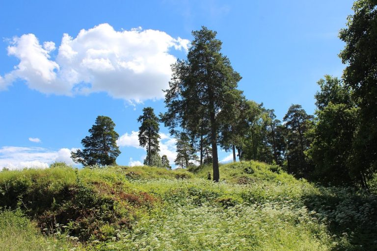 Almare-Stäkets borg: A Medieval Fortress Controlling the Almarestäket Waterway