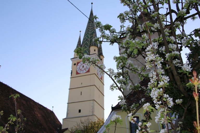 Saint Margaret Church in Mediaș: A Late Gothic Fortified Parish Church in Romania