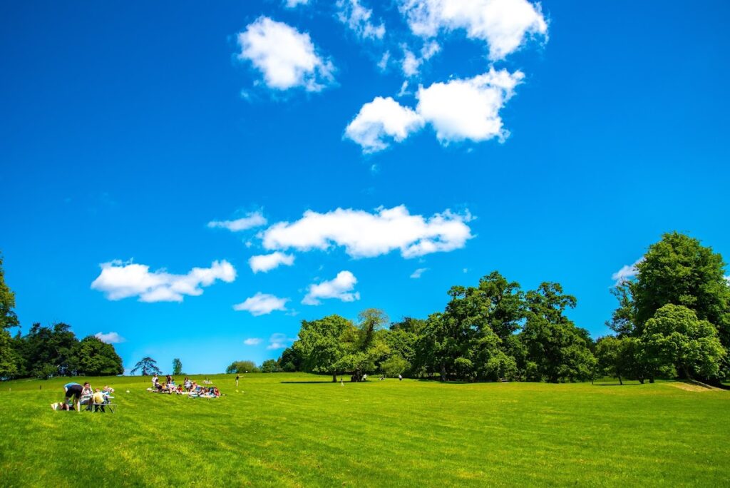 Doneraile Court: A Historic Country House in County Cork 3 Doneraile Court