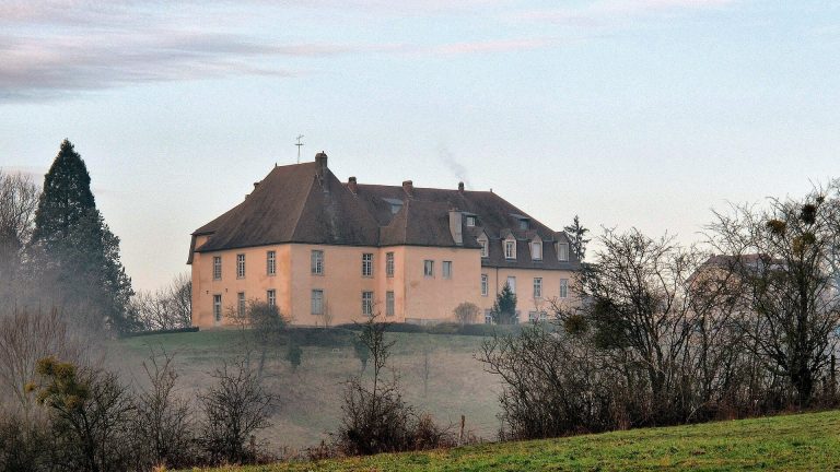 Uzel Castle: A Historic Estate in Pelousey, France