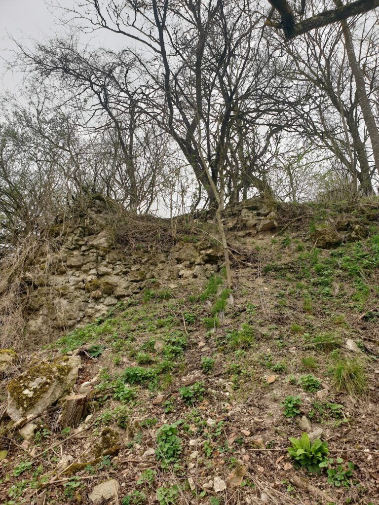 Hohenburg Castle: A Medieval Noble Stronghold in Germany