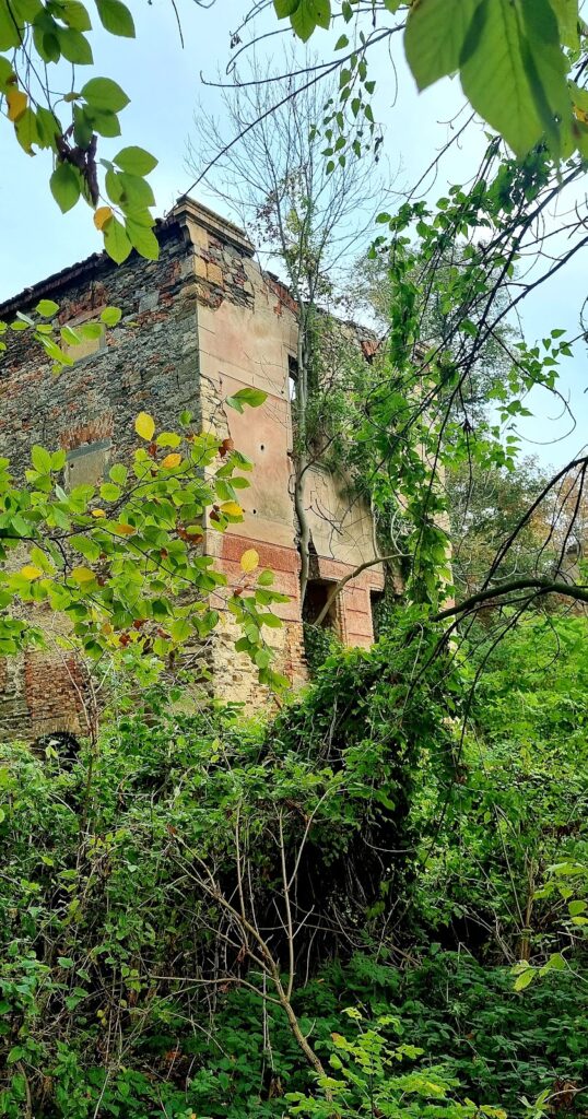 Schloss Pläswitz: A Ruined Renaissance and Baroque Palace in Poland 2 Schloss Pläswitz