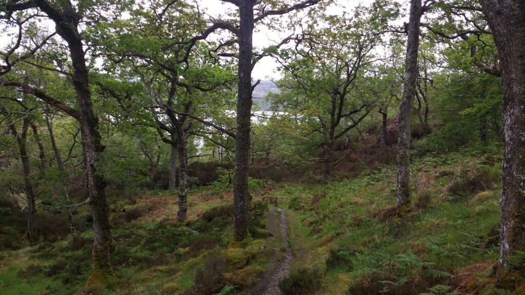 Glenborrodale Castle: A Scottish Baronial Estate Villa in Argyll 1 Glenborrodale Castle