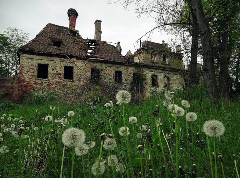 Palace in Dziewin: A Renaissance and Neo-Renaissance Estate in Poland