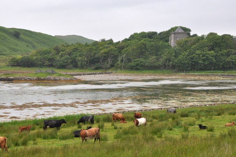 Craignish Castle: A Scottish Tower House and Country Residence
