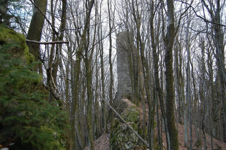 Reichenstein Castle Ruins: A Medieval Hilltop Fortress in Germany