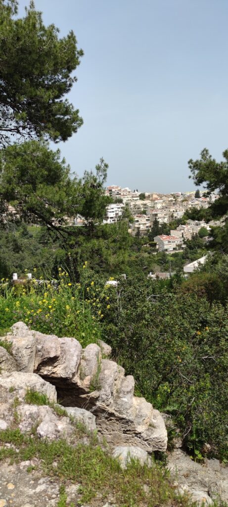 Khirbet Rushmiya: A Crusader Road Fortress in Haifa 3 Khirbet Rushmiya