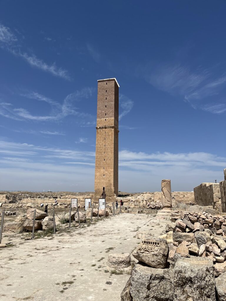 Harran University: A Medieval Islamic Institution of Higher Learning