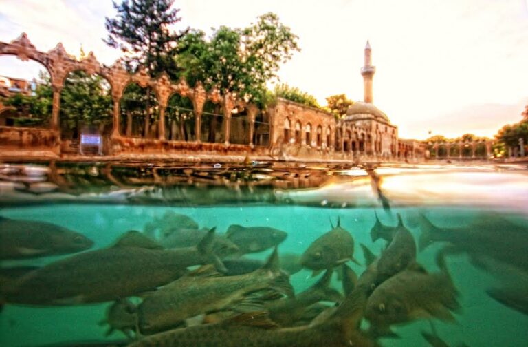 Balıklıgöl: Sacred Pools and Religious Heritage in Türkiye