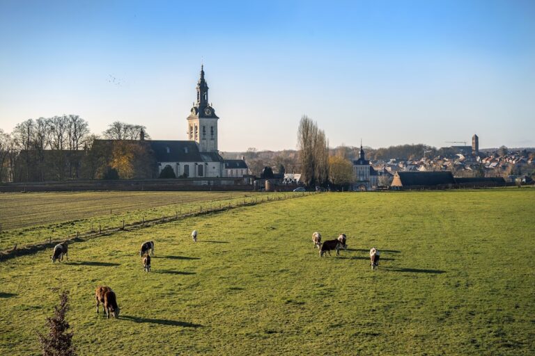 Park Abbey: A Premonstratensian Abbey in Leuven, Belgium