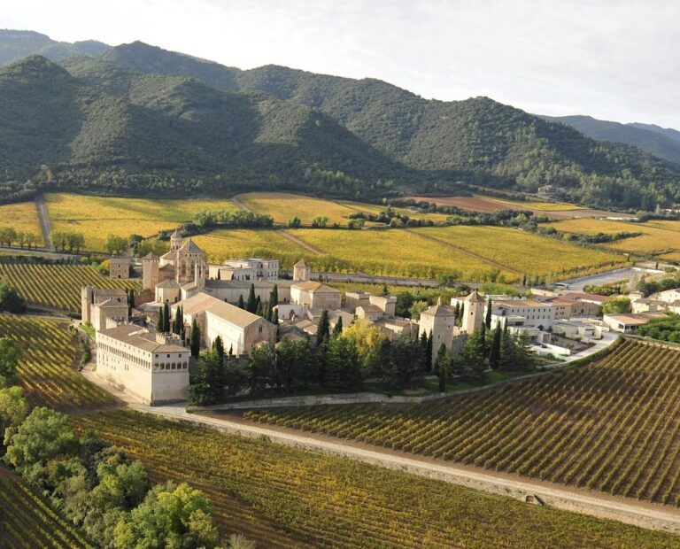 Poblet Monastery: A Cistercian Royal Pantheon in Spain