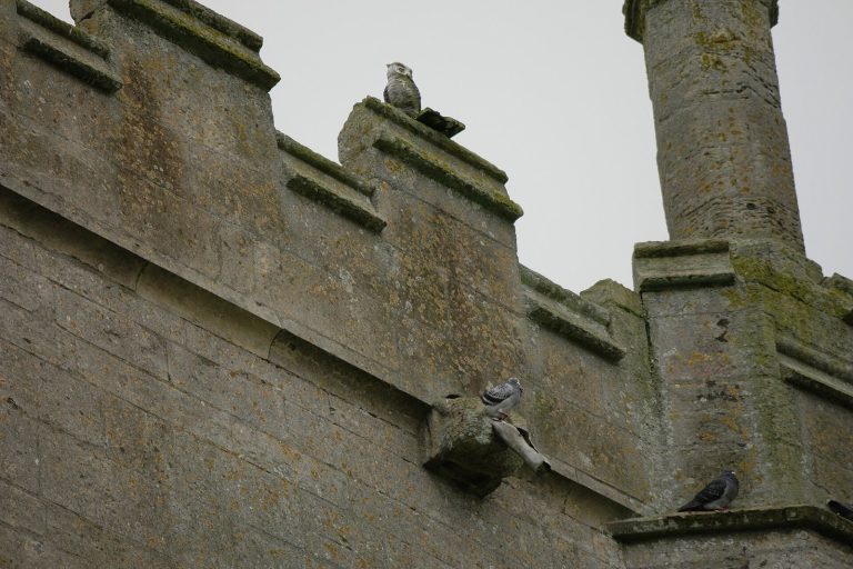 St James’ Church, Aslackby: A Medieval Church and Templar Foundation