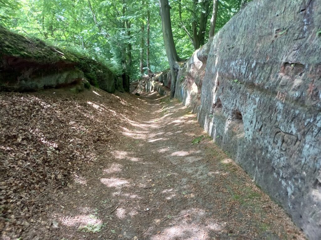 Welbeck Abbey: A Former Premonstratensian Monastery and Country House 2 Welbeck Abbey