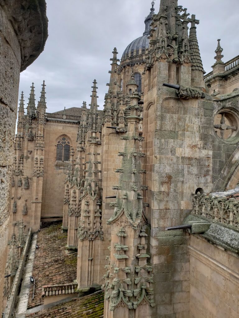 Salamanca Old Cathedral: A Medieval Fortified Cathedral in Spain 2 Salamanca Old Cathedral