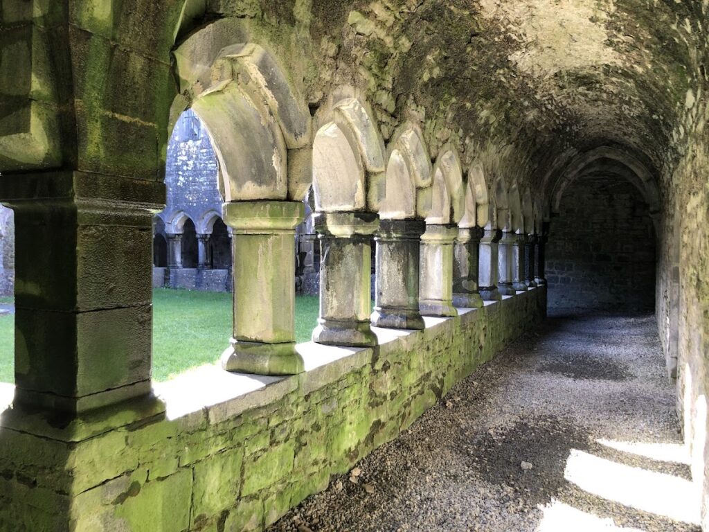 Moyne Abbey: An Observant Franciscan Friary in Ireland 2 Moyne Abbey