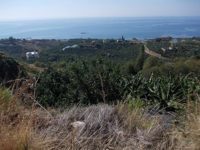 Syedra: An Ancient Port City and Regional Centre in Türkiye