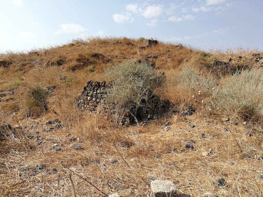 Tell Ubeidiya: An Archaeological Tell on the Jordan River 1 Tell Ubeidiya