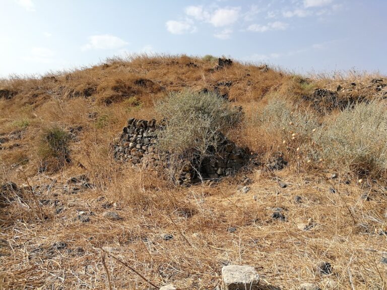 Tell Ubeidiya: An Archaeological Tell on the Jordan River