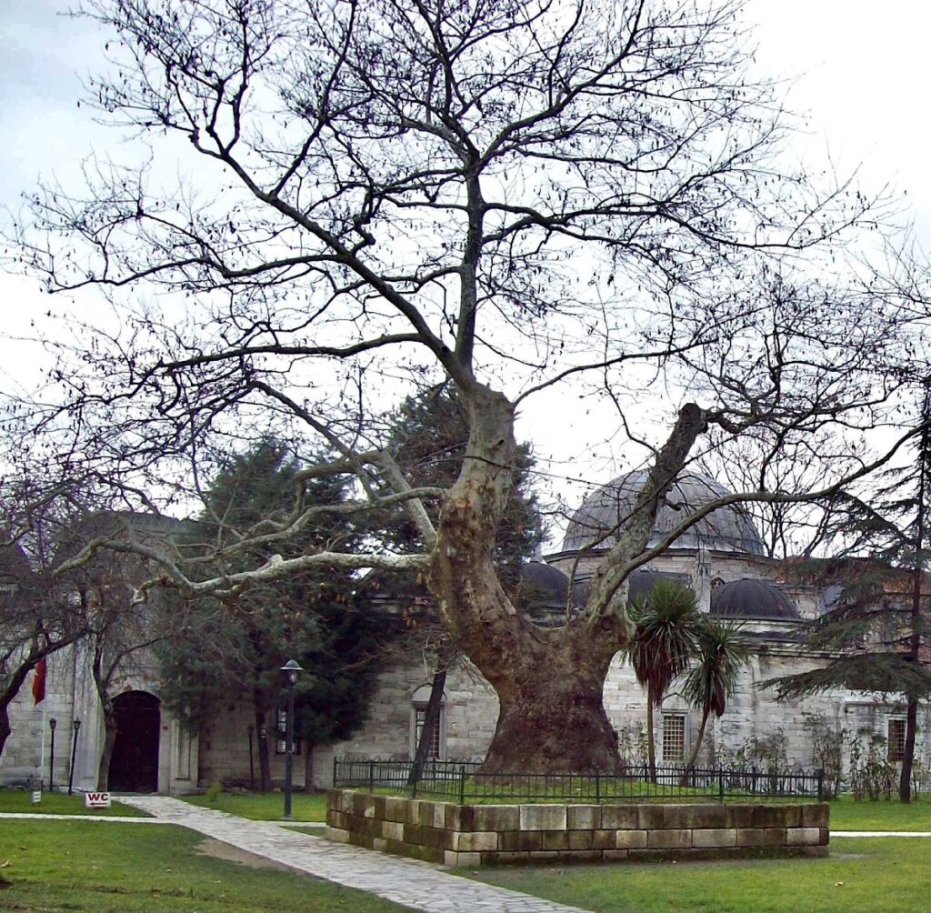 Şehzade Mosque: An Ottoman Imperial Memorial in Istanbul 4 Şehzade Mosque