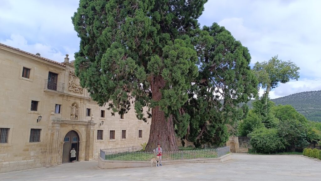 Abbey of Santo Domingo de Silos: A Benedictine Monastery and Romanesque Heritage Site in Spain 4 Abbey of Santo Domingo de Silos