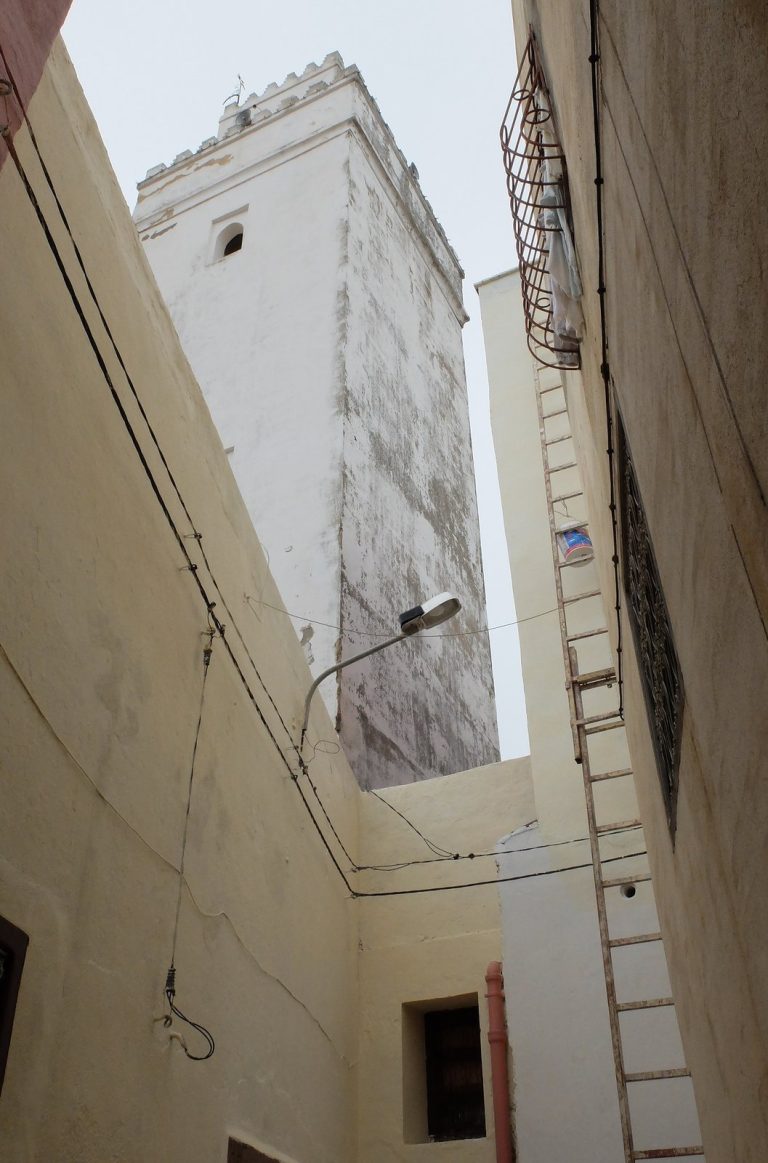 The Great Mosque of Taza: An Almohad, Marinid, and Alawi Religious Complex in Morocco