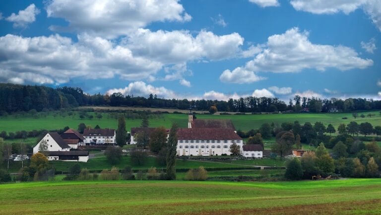 Olsberg’s Former Cistercian Convent: Church, Convent Building, and Barn