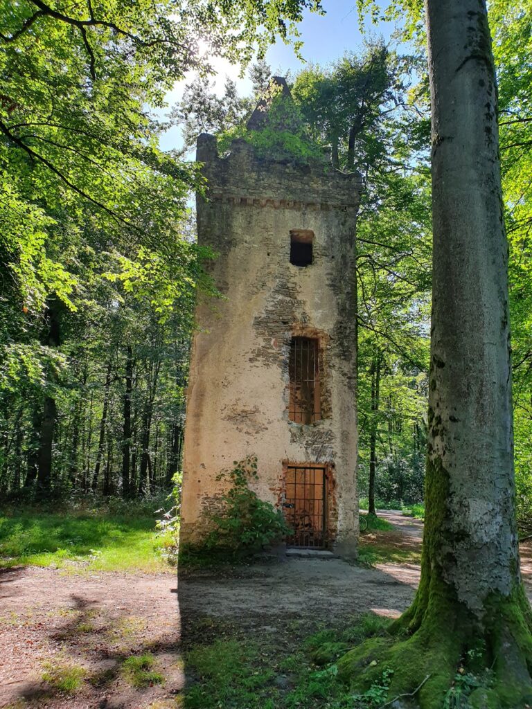 St. Wolfgang Monastery (Hanau): A Late-Medieval Servite Monastery