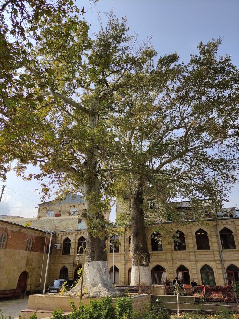 Derbent Mosque: Russia’s Historic Shiite Friday Mosque and Madrasa 3 Derbent Mosque