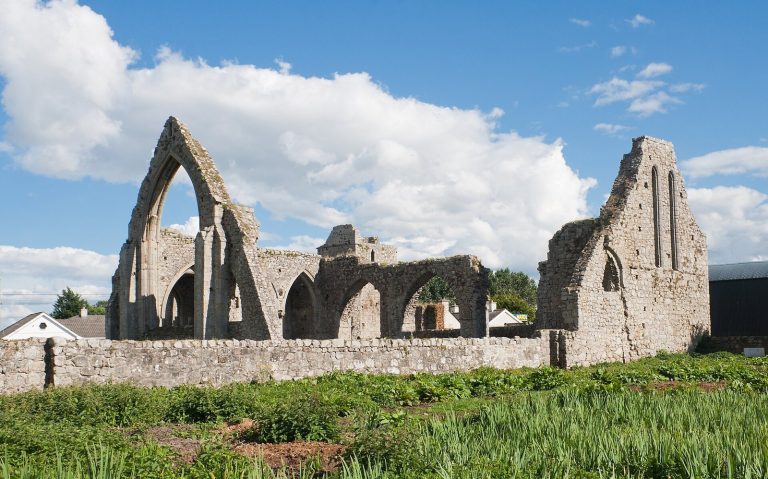 Castledermot Friary: A Medieval Franciscan House in Ireland