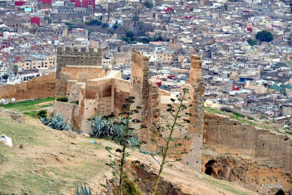 Marinid Tombs: A Royal Necropolis in Fez, Morocco 2 Marinid Tombs