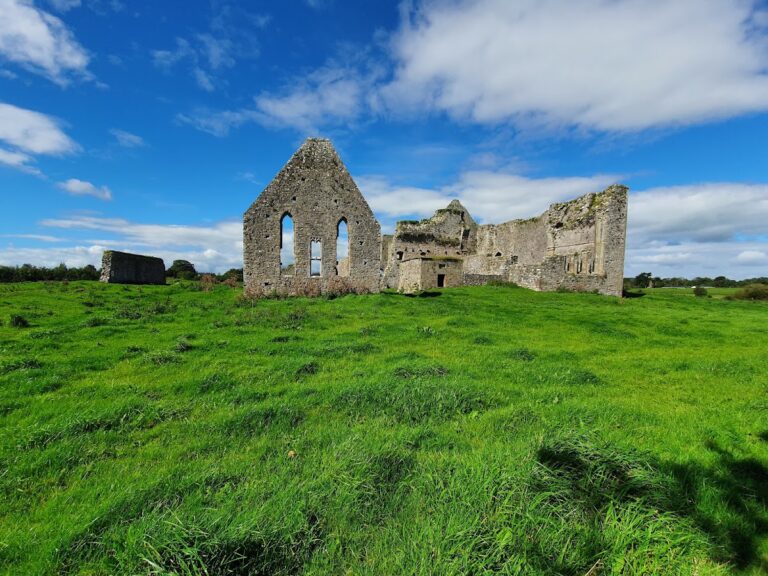 Monasteranenagh Abbey: A Medieval Cistercian Monastery in Ireland