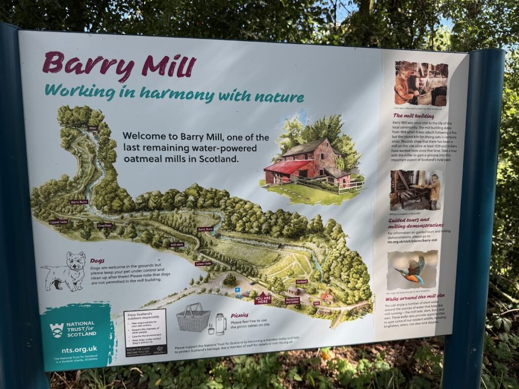 Barry Mill: A Working Watermill in Angus 3 Barry Mill