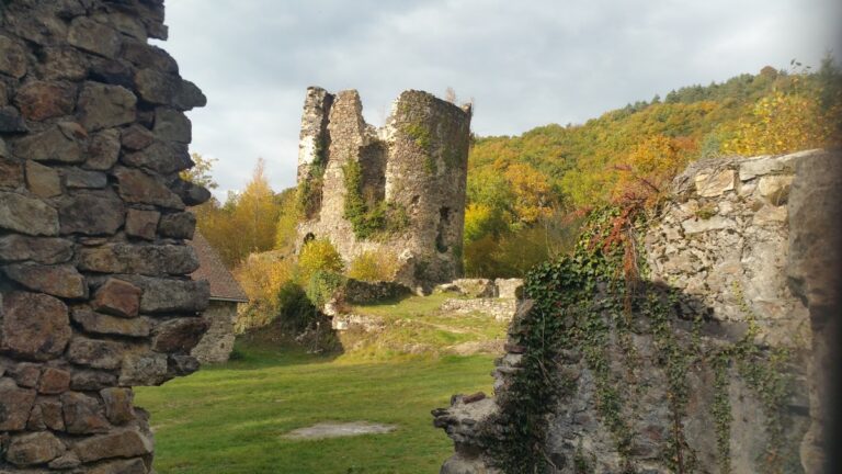 Chartreuse de Port-Sainte-Marie: A Former Carthusian Monastery in France