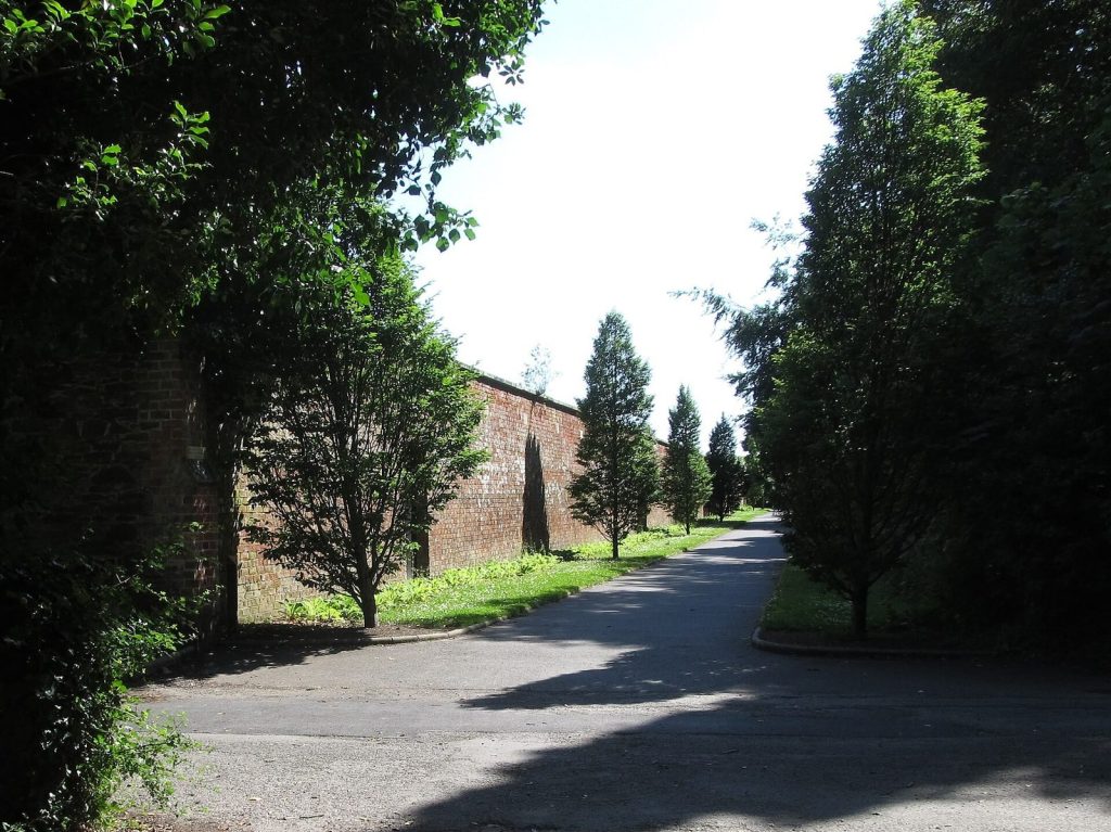 Bangor Abbey