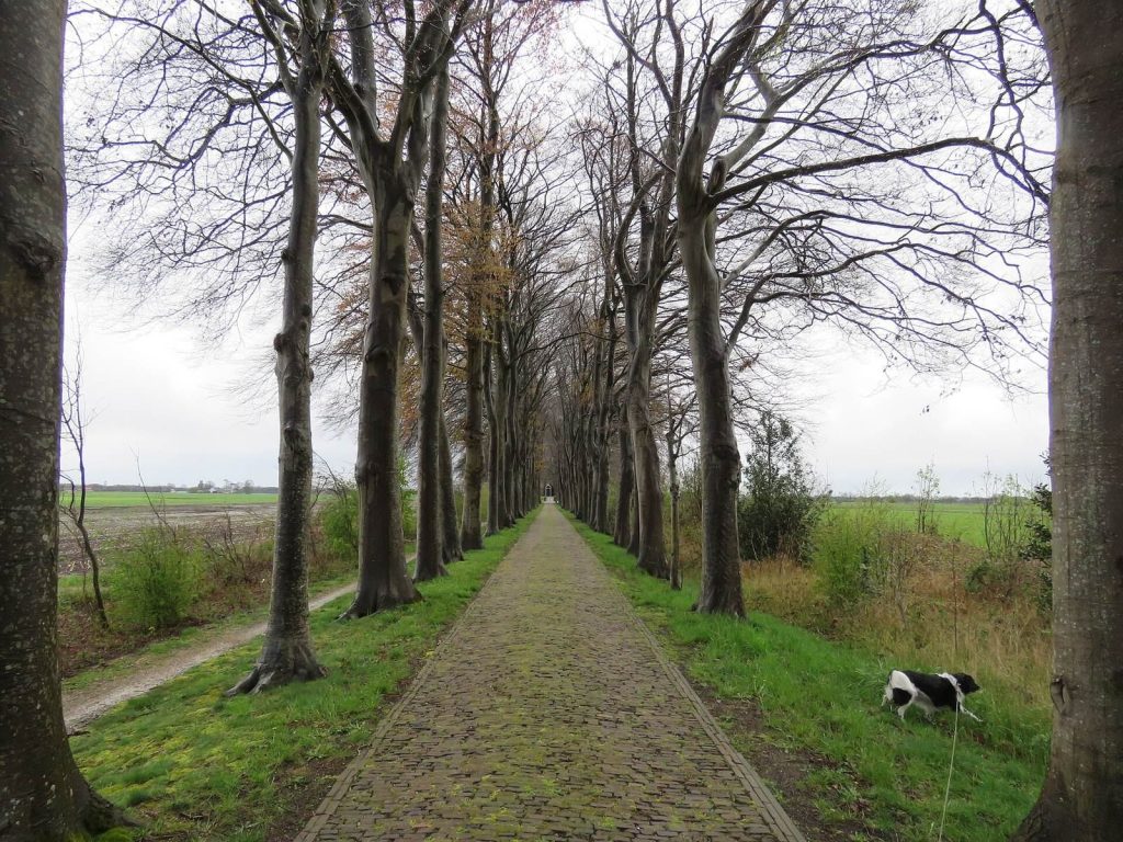 Church of Kolderveen: A Fifteenth-Century Reformed Church in the Netherlands 1 church of Kolderveen