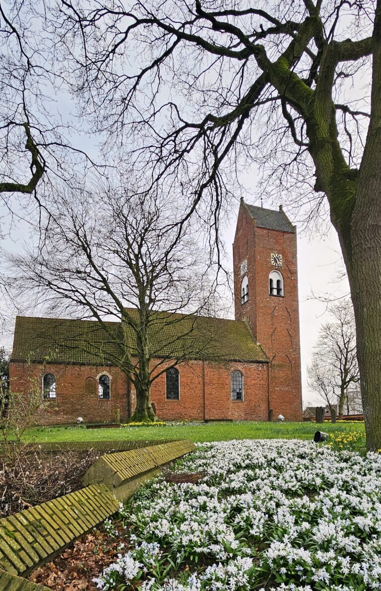 Hervormde kerk (Tolbert): A Medieval Church in the Netherlands