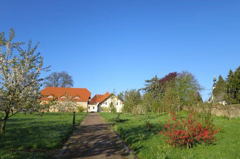 Kloster Marienthal: A Former Cistercian Nunnery in Germany
