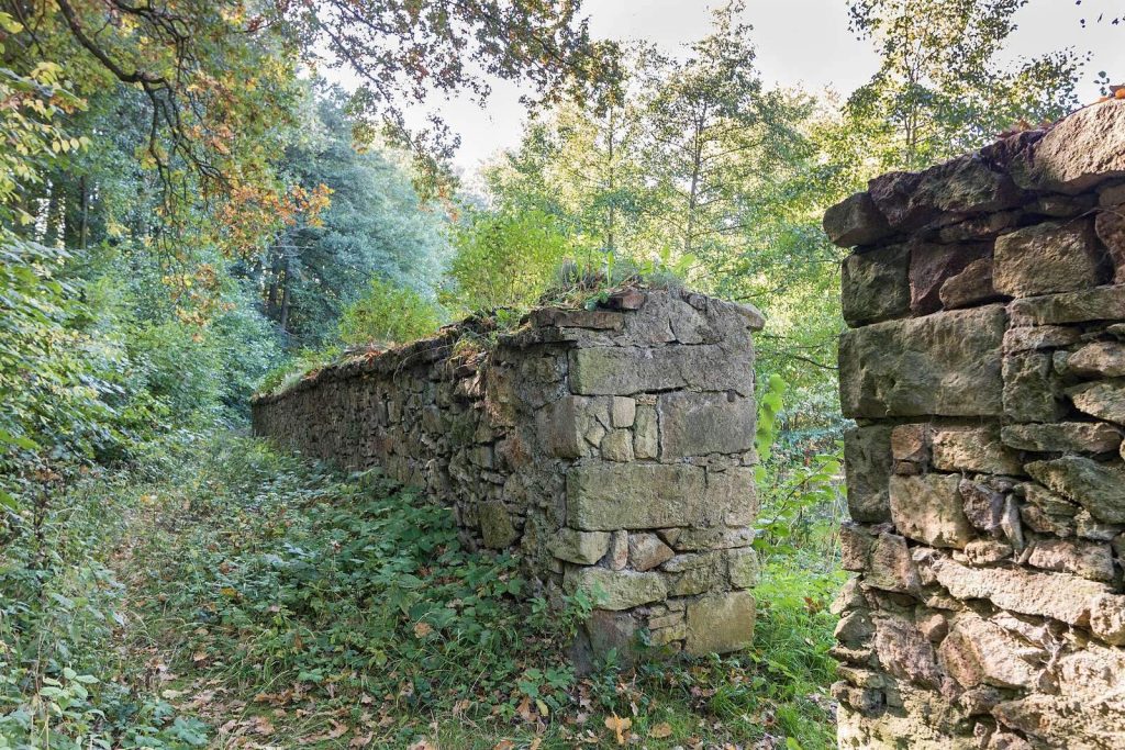 Kloster Marienthal: A Former Cistercian Nunnery in Germany 3 Kloster Marienthal