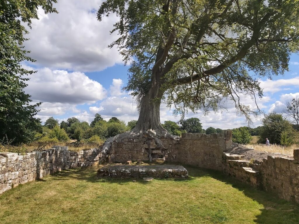Bayham Old Abbey: A Premonstratensian Monastery in Kent and Sussex 3 Bayham Old Abbey